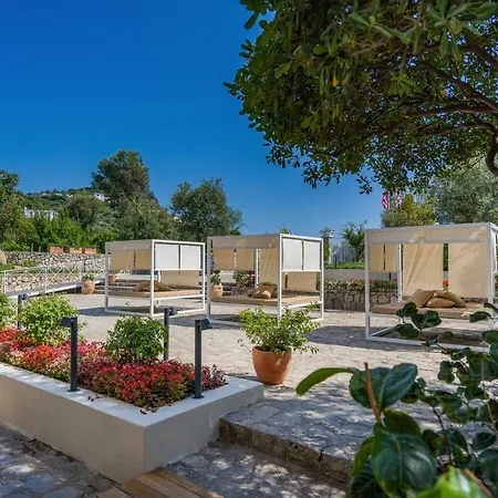 Albergue Maison Montechiaro